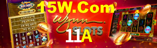 Programa VIP 11A